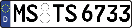 MS-TS6733