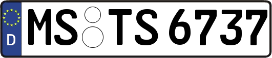 MS-TS6737