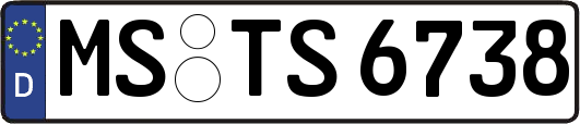 MS-TS6738