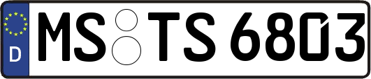 MS-TS6803