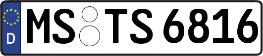 MS-TS6816