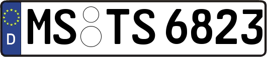 MS-TS6823