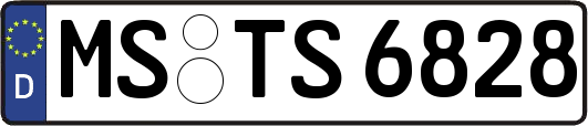 MS-TS6828