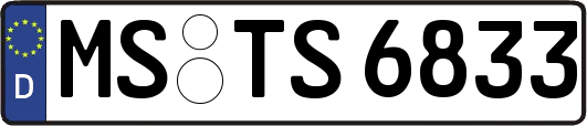 MS-TS6833