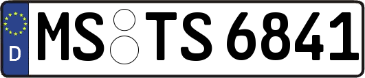 MS-TS6841