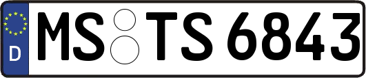 MS-TS6843