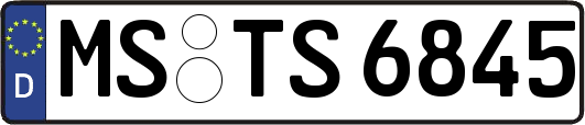 MS-TS6845