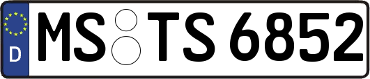 MS-TS6852