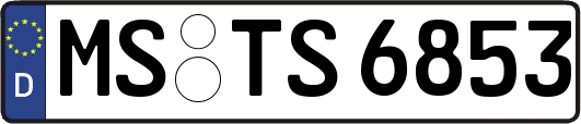 MS-TS6853