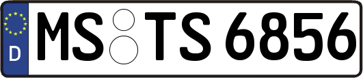 MS-TS6856