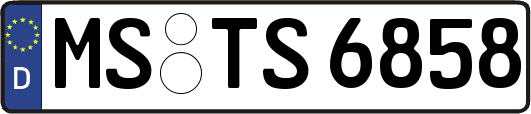 MS-TS6858