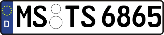 MS-TS6865