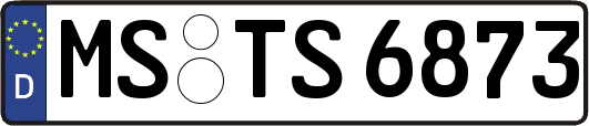 MS-TS6873