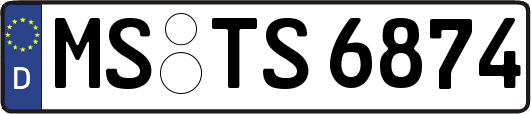 MS-TS6874