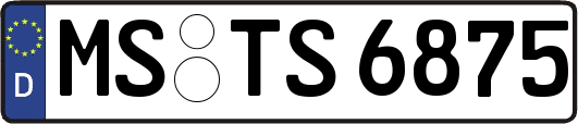 MS-TS6875