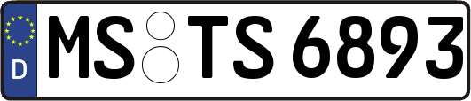 MS-TS6893
