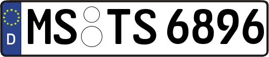 MS-TS6896