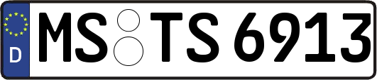 MS-TS6913