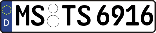 MS-TS6916