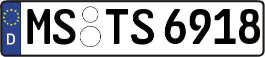 MS-TS6918