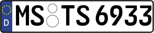 MS-TS6933