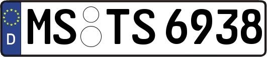 MS-TS6938
