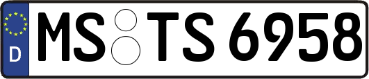 MS-TS6958