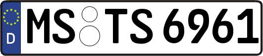 MS-TS6961