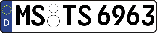 MS-TS6963