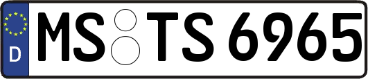 MS-TS6965