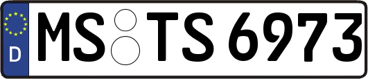 MS-TS6973