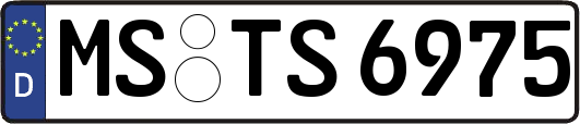 MS-TS6975