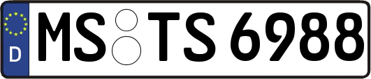 MS-TS6988