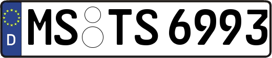 MS-TS6993