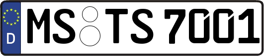 MS-TS7001
