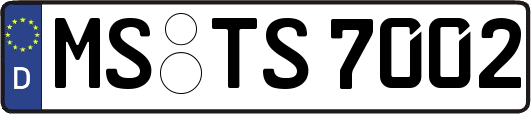 MS-TS7002