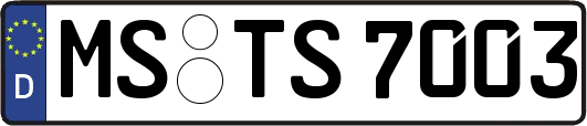 MS-TS7003