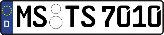 MS-TS7010