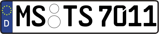 MS-TS7011