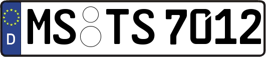 MS-TS7012