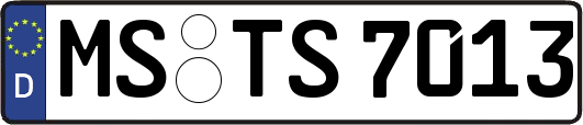 MS-TS7013