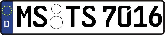 MS-TS7016