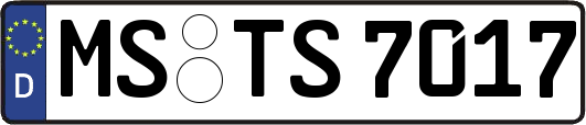 MS-TS7017