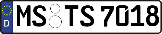 MS-TS7018