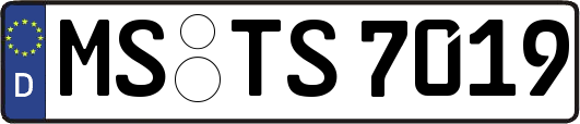 MS-TS7019