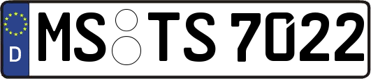 MS-TS7022