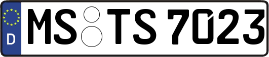MS-TS7023