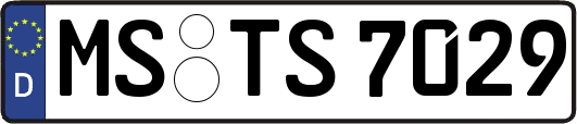 MS-TS7029
