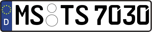 MS-TS7030