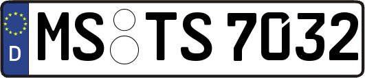 MS-TS7032